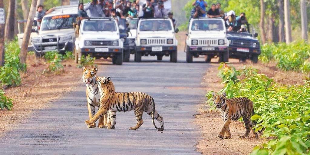 Jim Corbett National Park